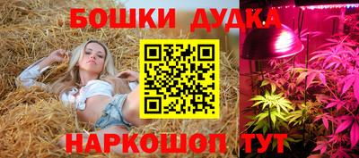 круглые Ставрополь